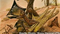 Fossils Reveal Ancient Flying Reptile With 'Butterfly Head'