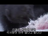 상암건마▷bam war com༖부산중구건마༈밤의전쟁㈀강동건마༂