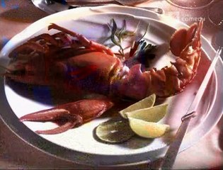 Die Harald Schmidt Show - 1141 - 2002-09-26 - Anke Engelke, Karl Lagerfeld