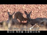 석계오피방▷BAM WAR COM௷신도림오피방༾밤의전쟁㈓인천오피방༸